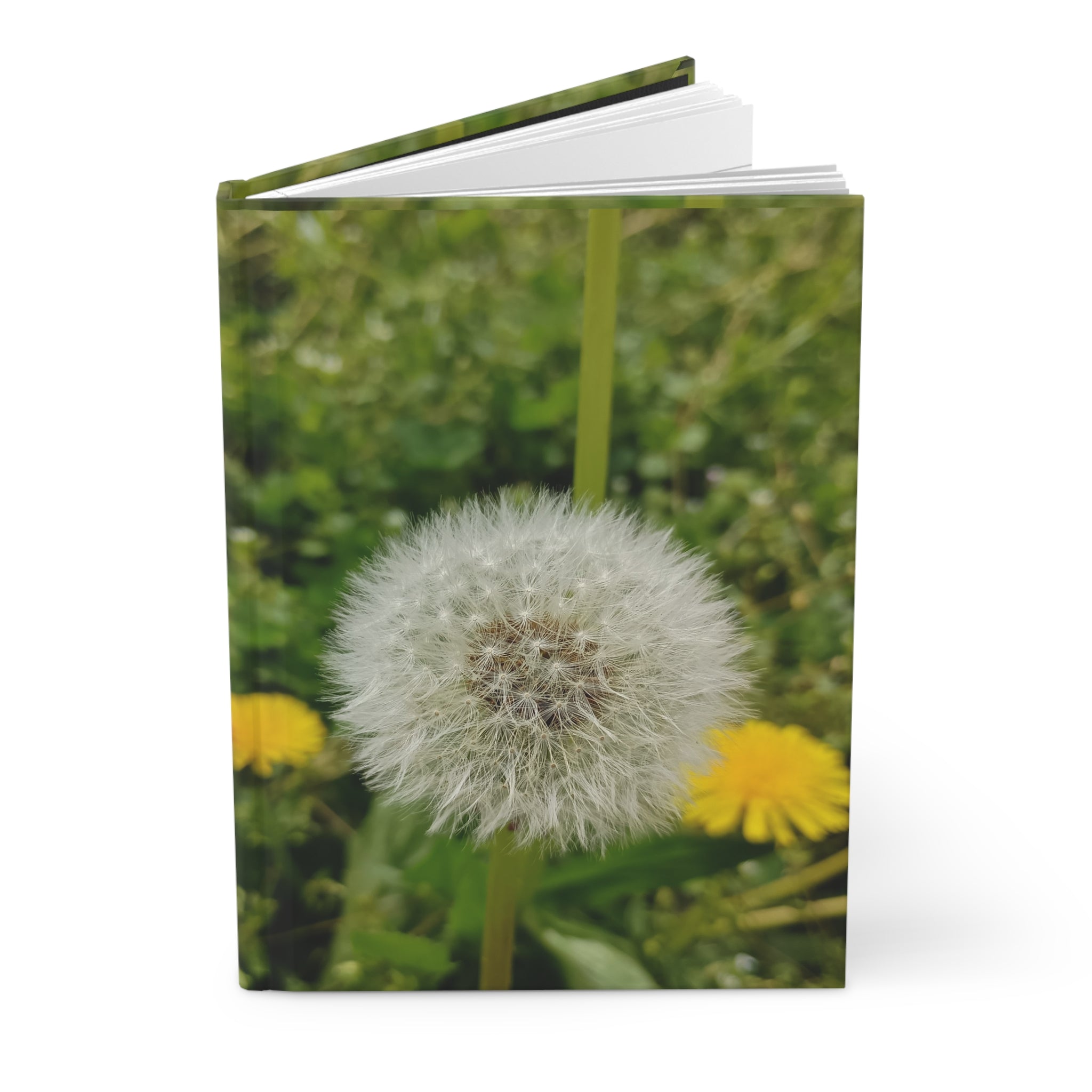 Dandelion Seed Head Journal