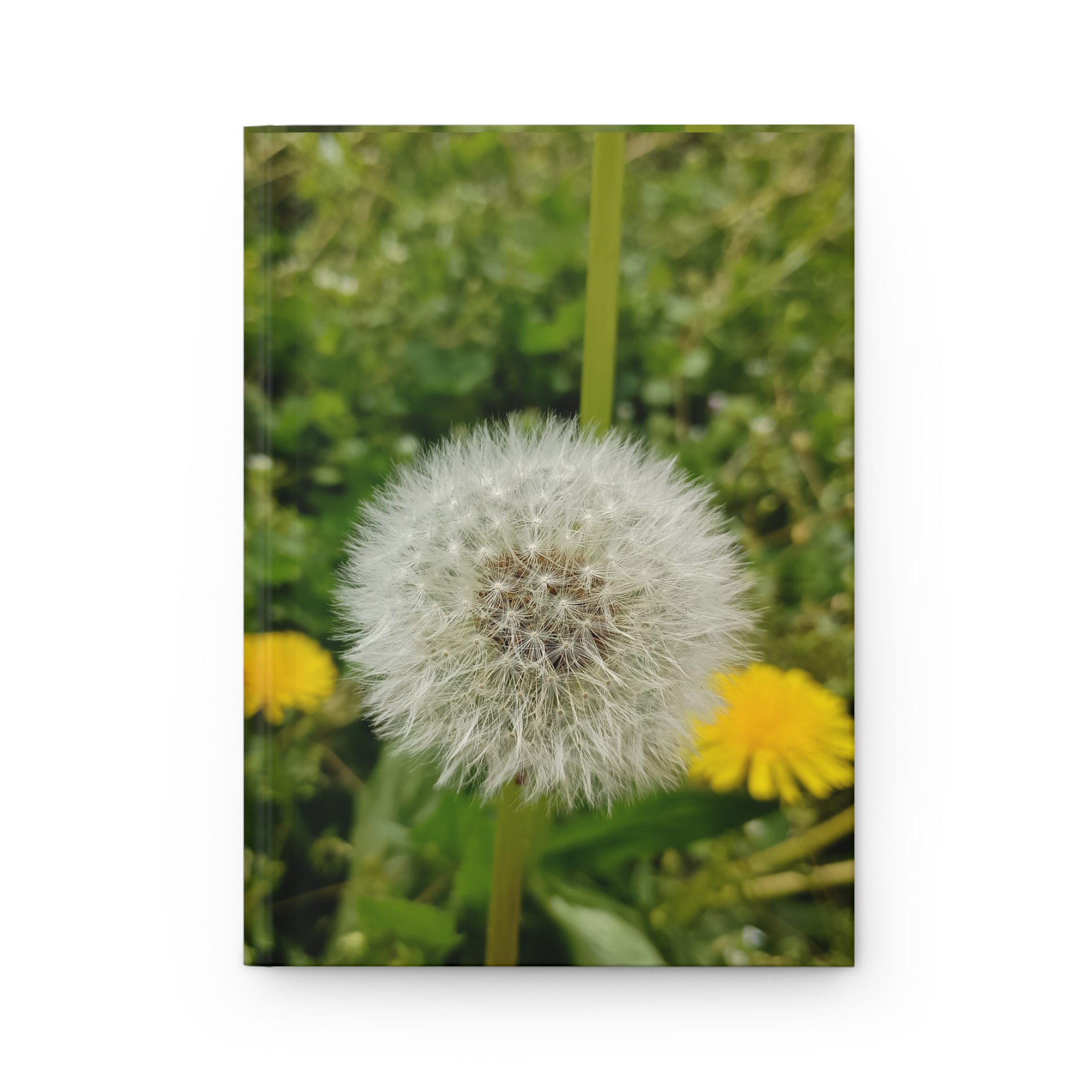 Dandelion Seed Head Journal