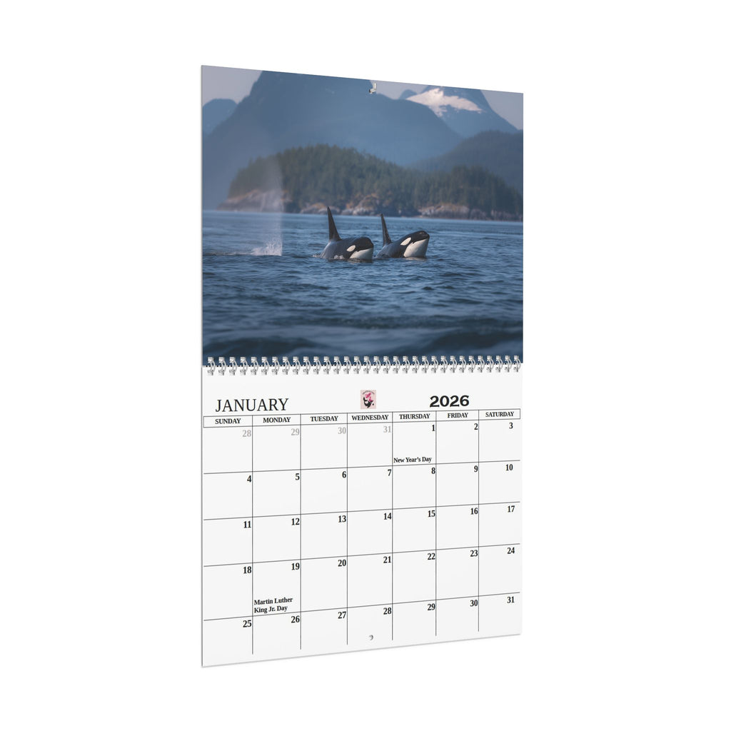 2026 Orca Wall Calendar  12-Month Marine Calendar
